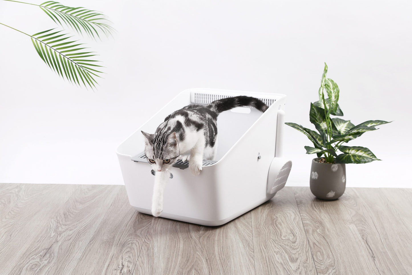 PETKIT Pura Automatic Cat Litter Box | Self-Cleaning