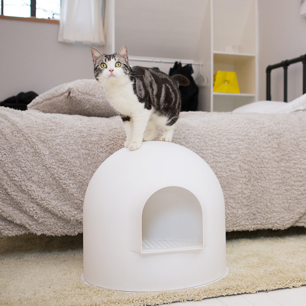 PIDAN Igloo Cat Litter Box | Modern Design Odour Control | White