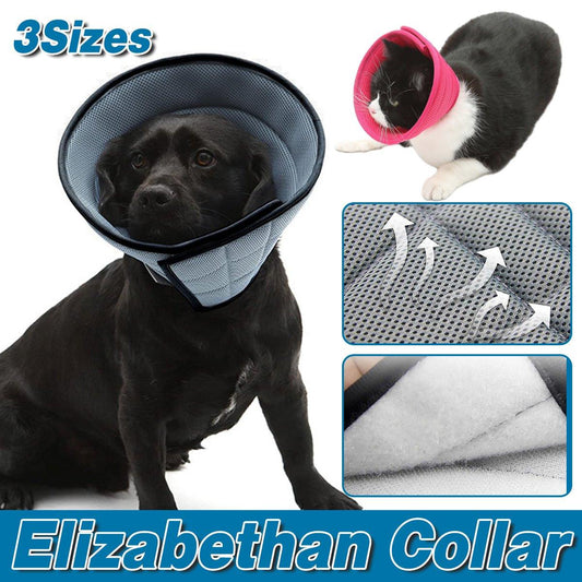 Rose Red Elizabethan Anti-Lick Pet Recovery Collar | Size 4