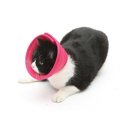 Rose Red Elizabethan Anti-Lick Pet Recovery Collar | Size 4