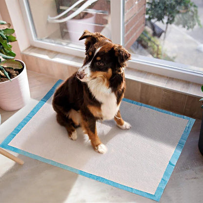 Dog Puppy Training Pads | Thickened Absorbent Pee Pads | 50 Pack
