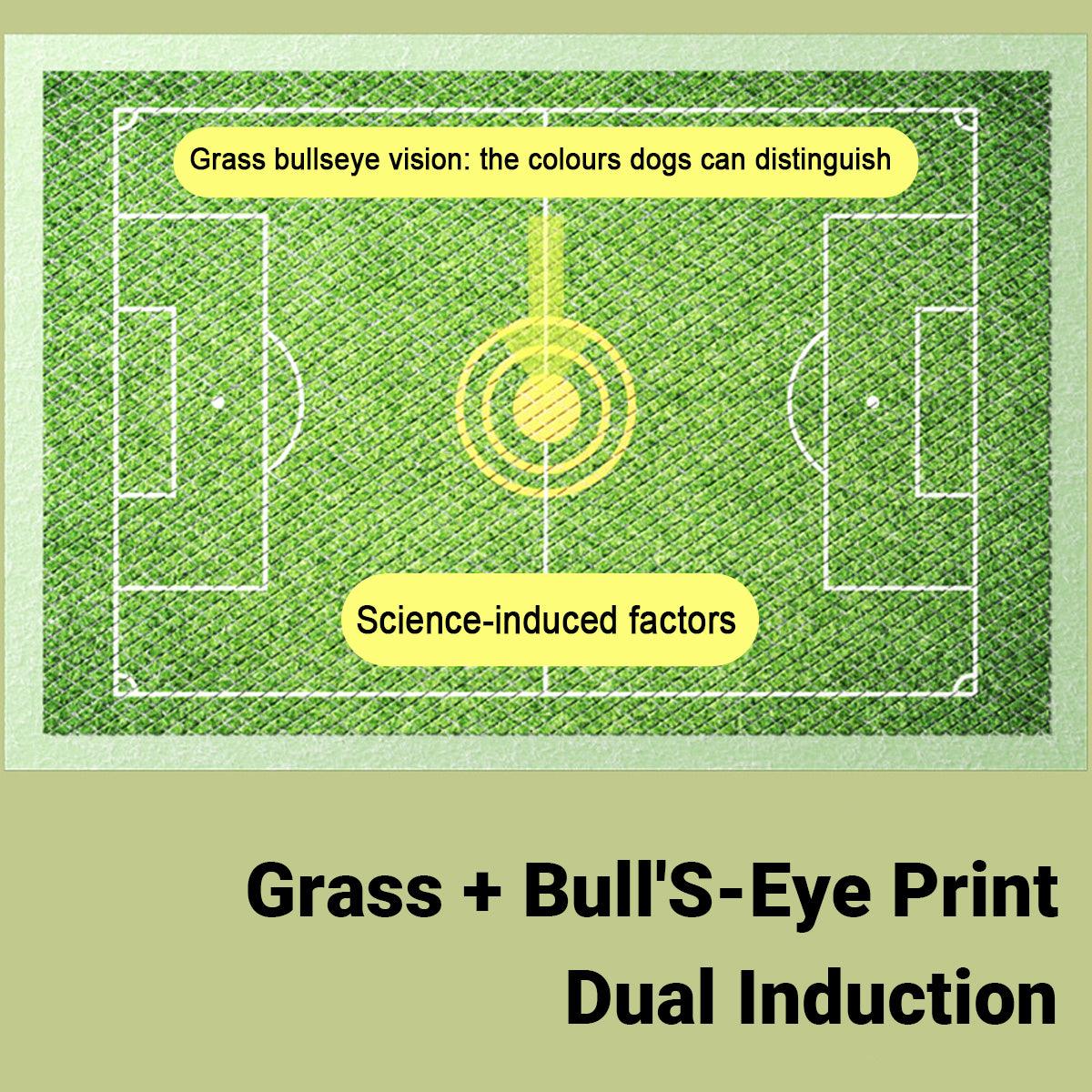Bullseye Dog Urinal Training Pads | Leakproof | 50 Pack | Small Size