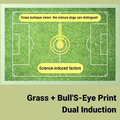 Bullseye Dog Urinal Training Pads | Leakproof | 50 Pack | Small Size