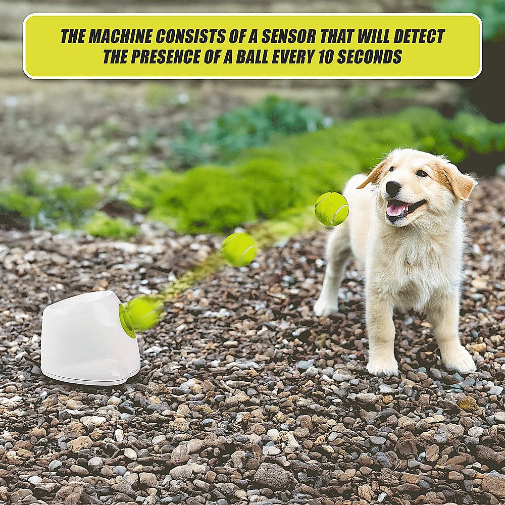 Automatic Dog Ball Launcher | Tennis Fetch Throwing Machine