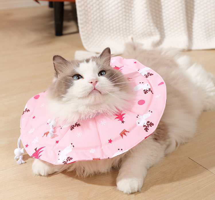 Pink Size L Waterproof Pet Recovery Collar Set (2 Pack) | Cats & Dogs