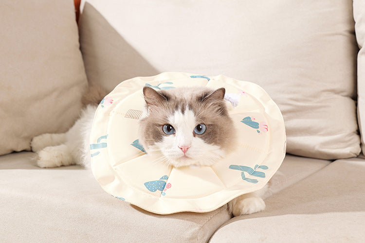 Beige Size M Waterproof Pet Recovery Collar Set (2 Pack) | Cats & Dogs