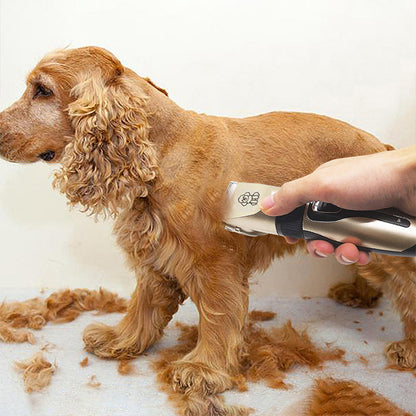 Gold Professional Pet Grooming Clipper Kit | 5-Speed