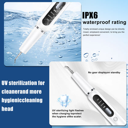 White Professional Pet Dental Cleaning Kit | Dog & Cat