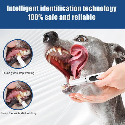 Black Professional Pet Dental Cleaning Kit | Dog & Cat
