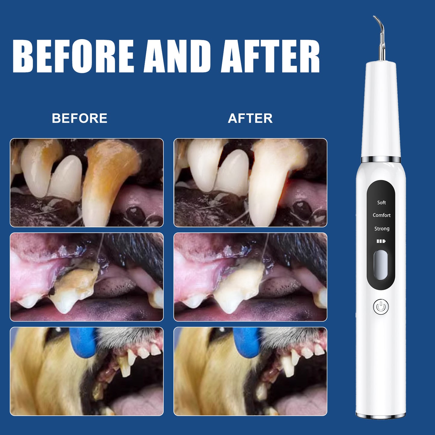 Black Professional Pet Dental Cleaning Kit | Dog & Cat