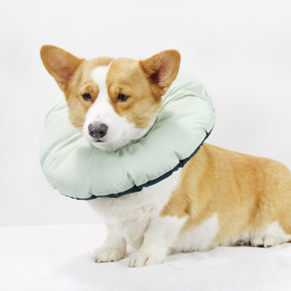 Green Soft Adjustable Elizabethan Collar | Cats & Dogs