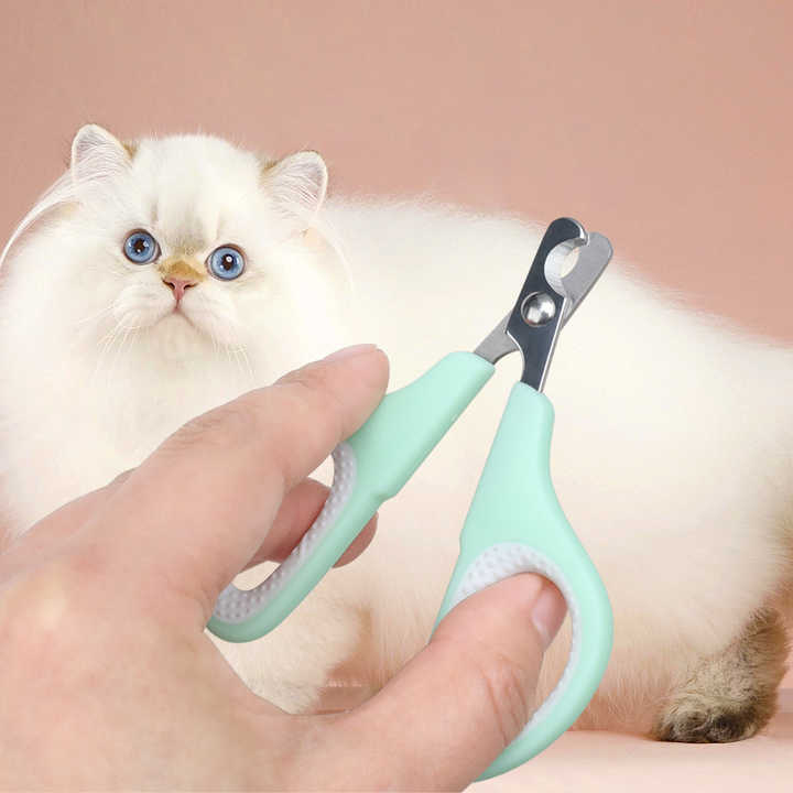 Green & Blue 5-in-1 Pet Grooming Care Kit | Dog & Cat
