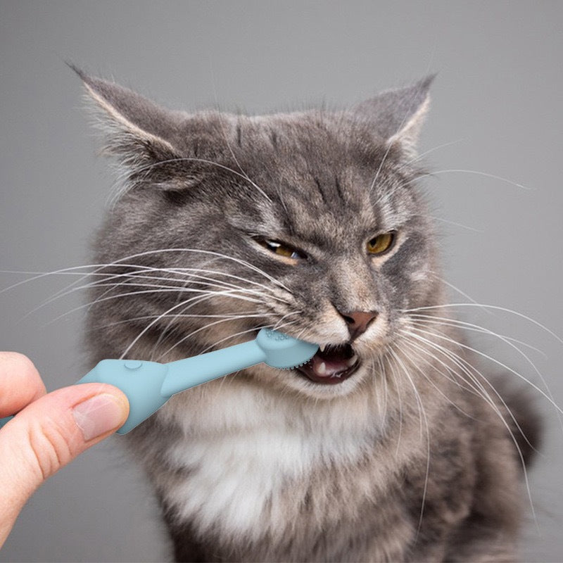 Green Silicone Pet Toothbrush 6-Pack | Dogs & Cats