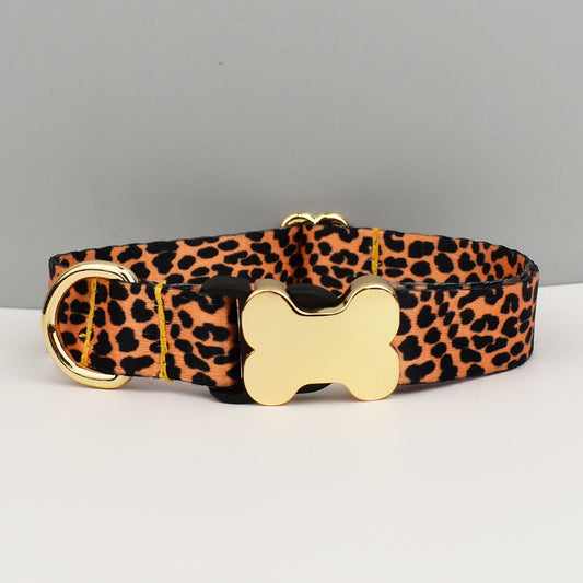 Leopard Print Dog Collar with Gold Metal Buckle | Size M