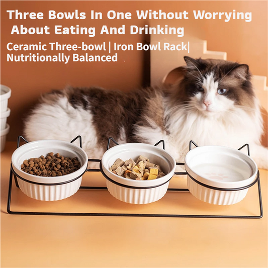 Triple Slanted Ceramic Pet Bowl Set | Blue Cat Paw