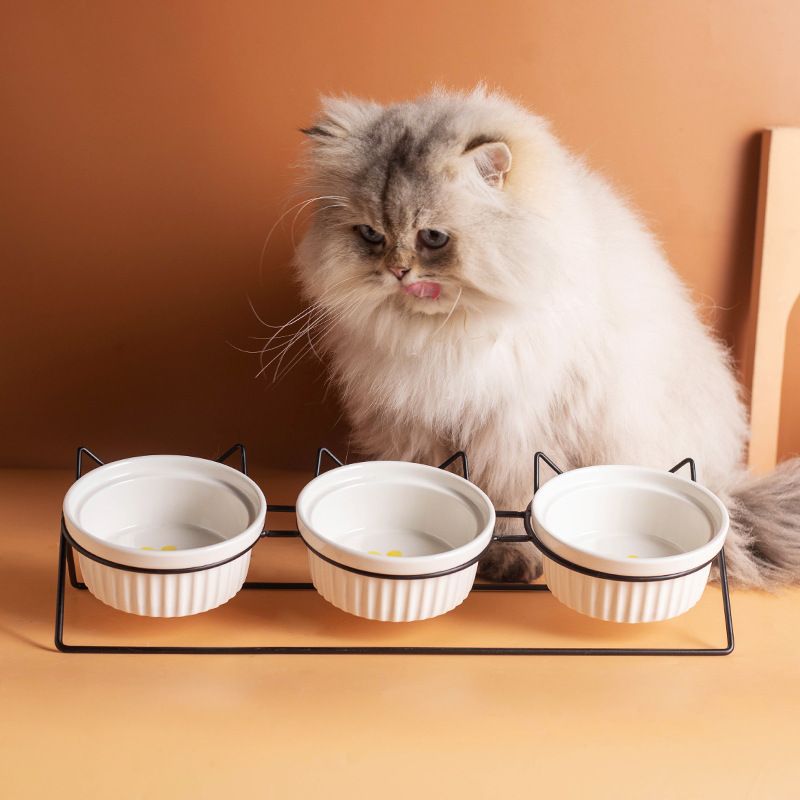Triple Slanted Ceramic Pet Bowl Set | Black Cat Paw