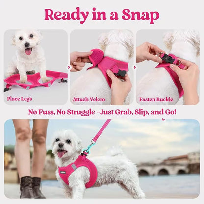 Black Breathable Dog Harness and Leash Set — Size: XS