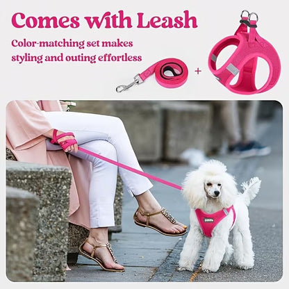 Black Breathable Dog Harness and Leash Set — Size: S