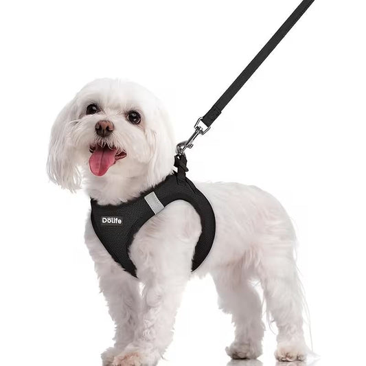 Black Breathable Dog Harness and Leash Set — Size: L