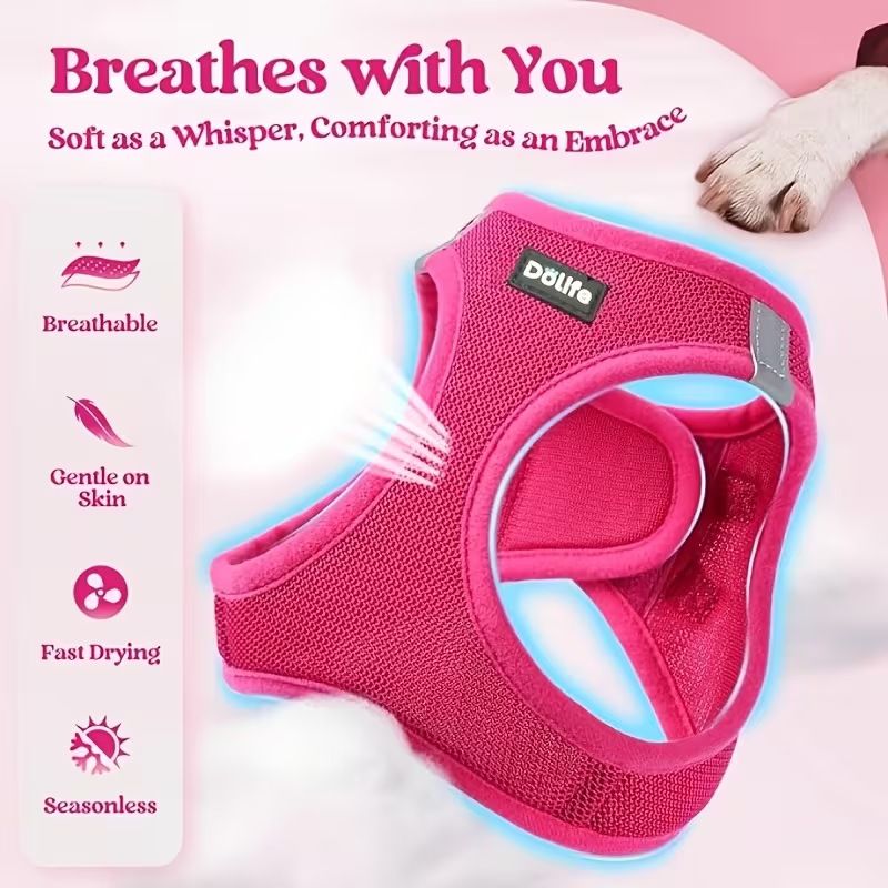 Orange Breathable Dog Harness and Leash Set — Size: XS