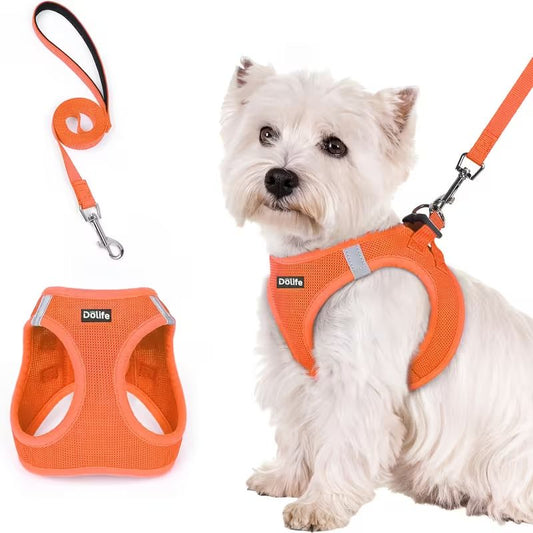 Orange Breathable Dog Harness and Leash Set — Size: S