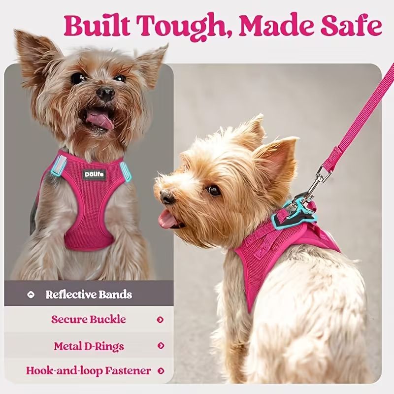 Orange Breathable Dog Harness and Leash Set — Size: L