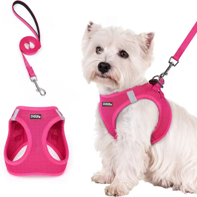 Rose red Breathable Dog Harness and Leash Set — Size: XS