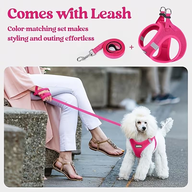 Rose red Breathable Dog Harness and Leash Set — Size: M