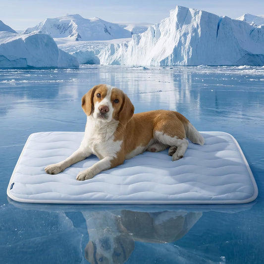 122 x 71 CM Blue Premium Wave Quiltied Pet Cooling Mat