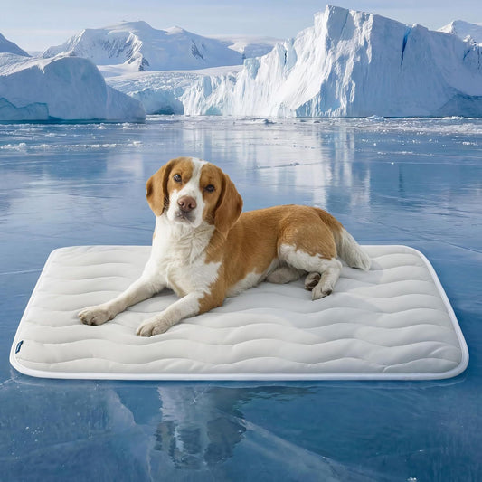 51 x 41 CM Grey Premium Wave Quiltied Pet Cooling Mat