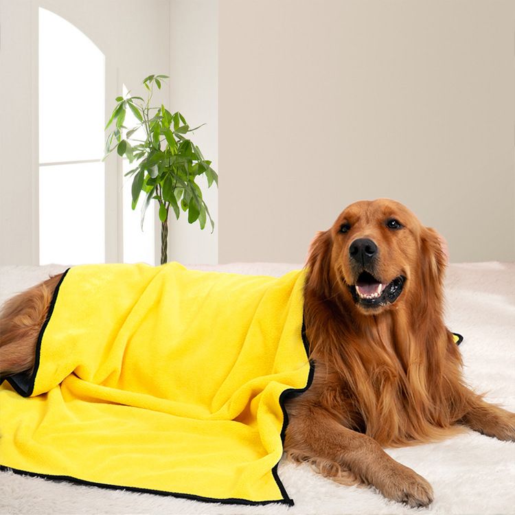 4-Piece Pet Cleaning Kit | Grooming Essentials | Dog & Cat