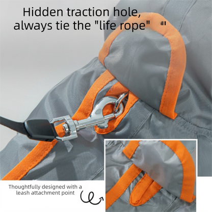 Grey and Orange XS size Dog Raincoat with Leash Access and Transparent