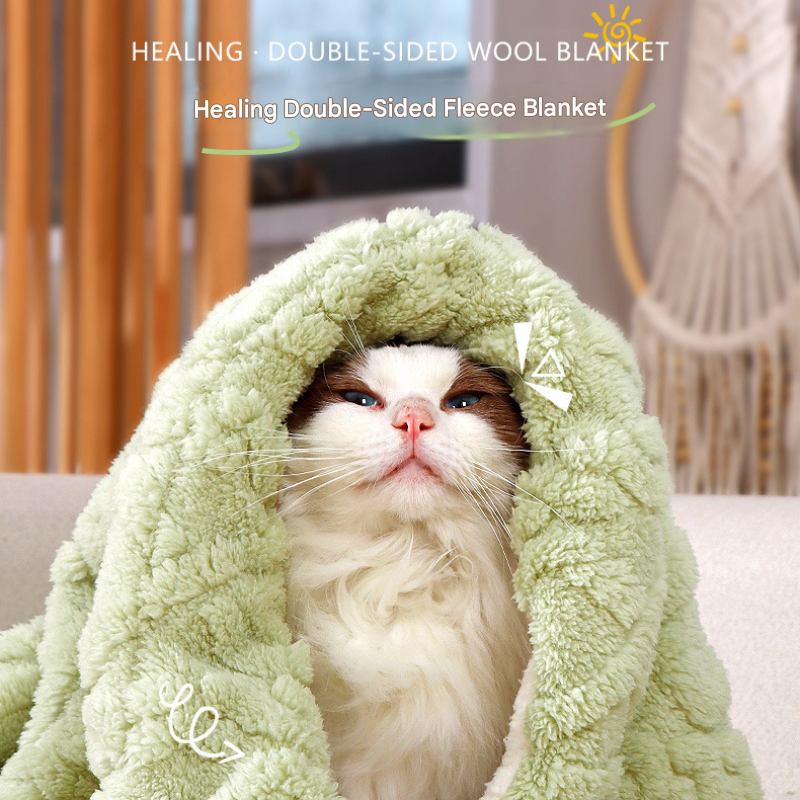 2-piece S size Green Pet Winter Comfort Bundle