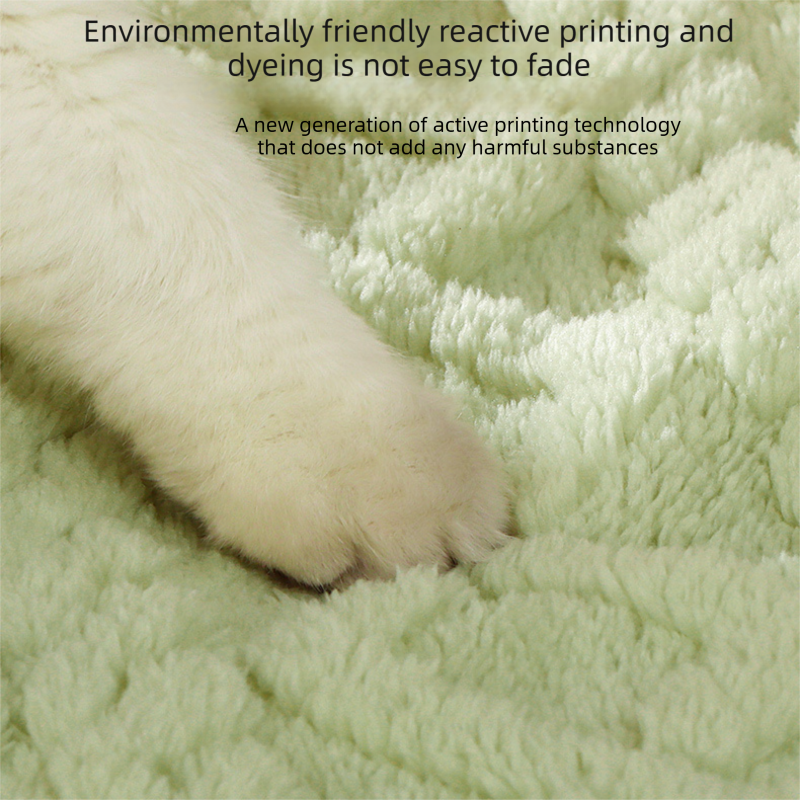 2-piece S size Green Pet Winter Comfort Bundle