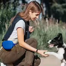 Black Silicone Dog Training Treat Pouch with Adjustable Waist Belt