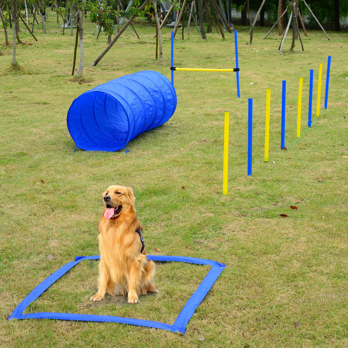 Backyard Competitive Dog Agility Training Kit Obstacle Course Equipment